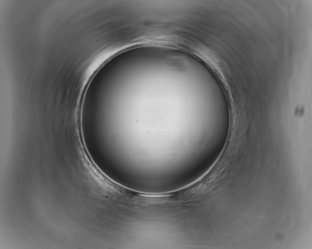 X0000091071344200708061254