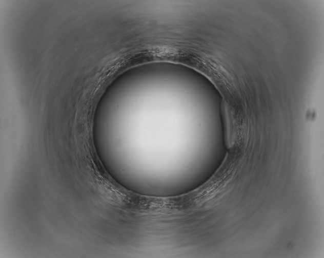 X0000091071345200708061254