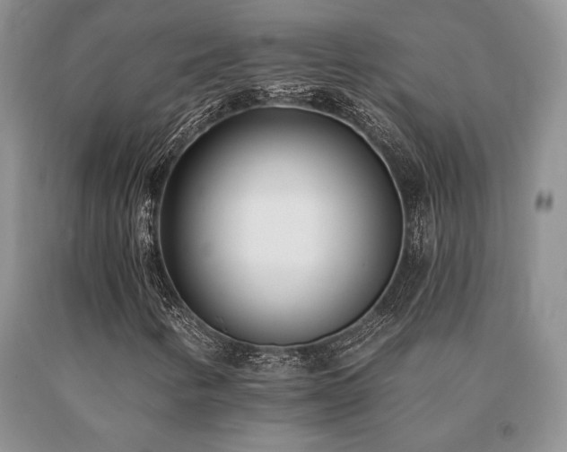 X0000091071346200708061254