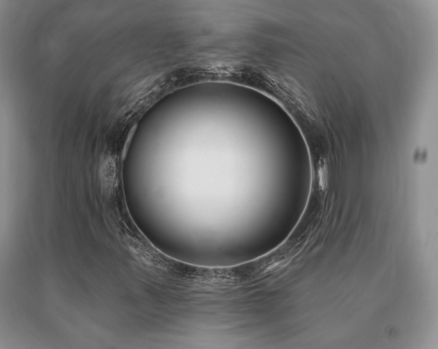 X0000091071347200708061254