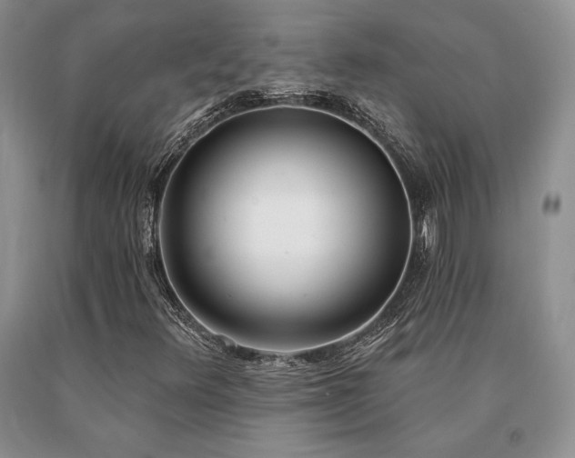 X0000091071348200708061254
