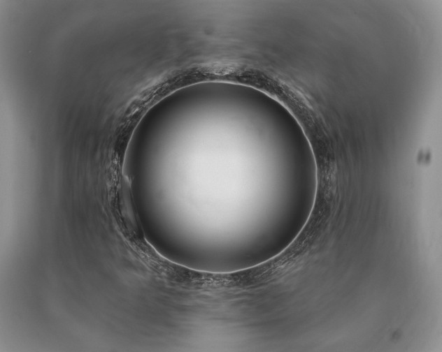 X0000091071349200708061254