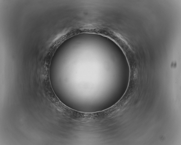 X0000091071350200708061254