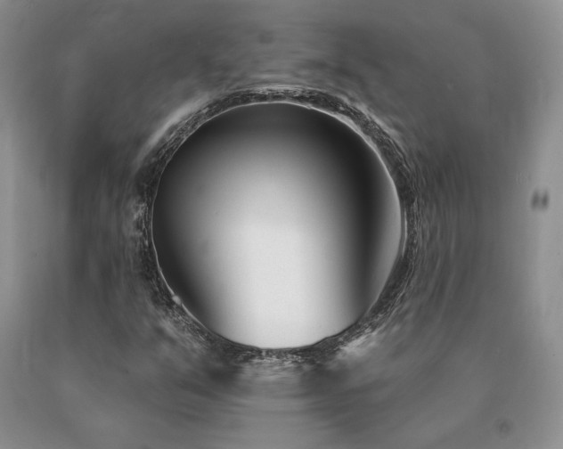 X0000091071351200708061253
