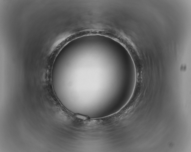 X0000091071352200708061253