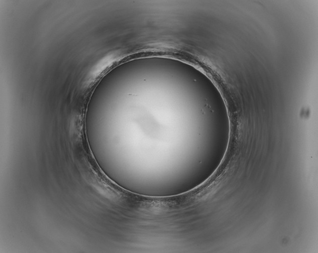 X0000091071355200708061253