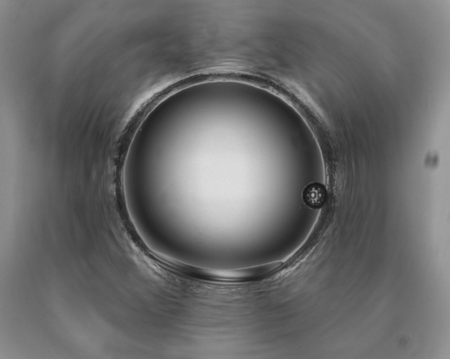 X0000091071356200708061253