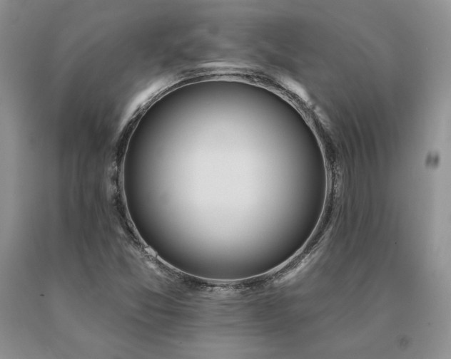 X0000091071357200708061253