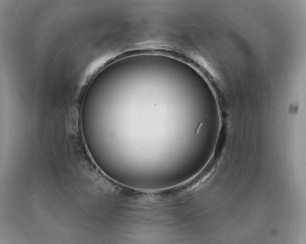 X0000091071358200708061253