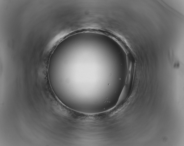 X0000091071359200708061253