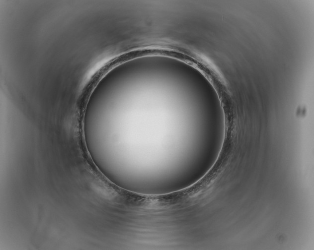 X0000091071360200708061253