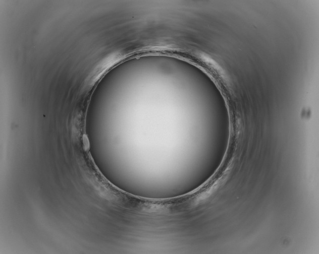 X0000091071361200708061253
