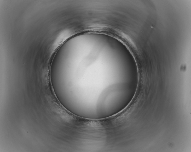 X0000091071362200708061253