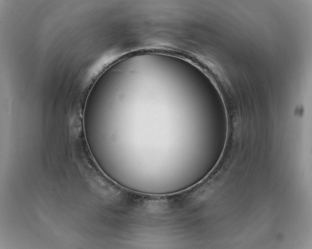 X0000091071363200708061253