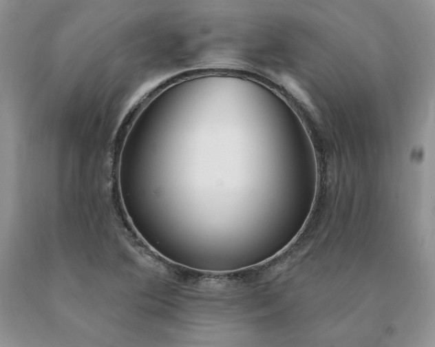 X0000091071364200708061253