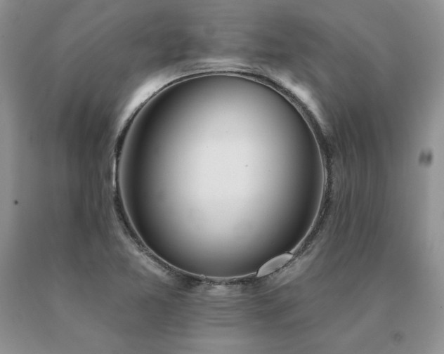 X0000091071365200708061253