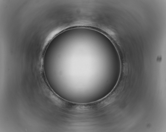 X0000091071366200708061253