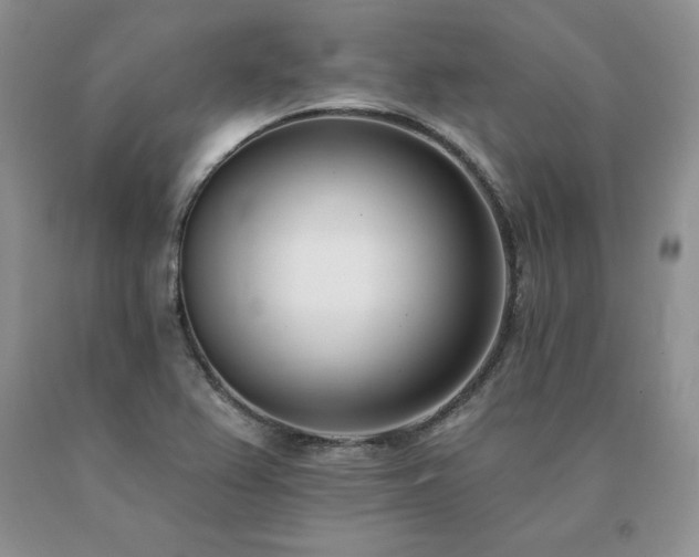 X0000091071367200708061253