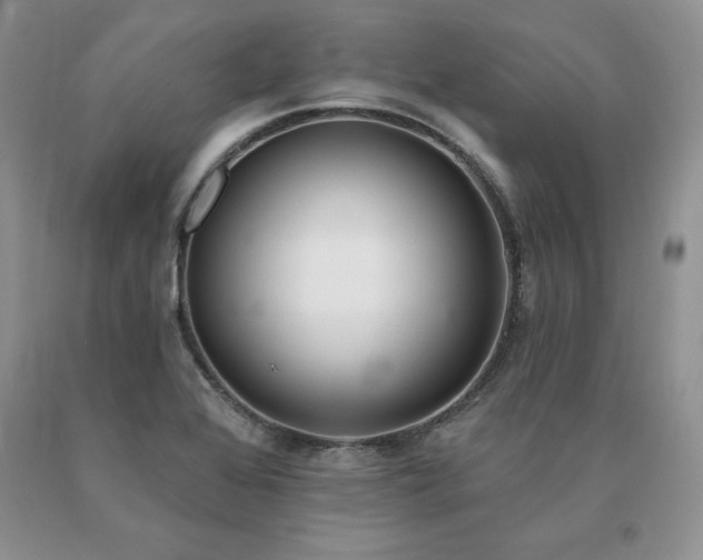 X0000091071368200708061253