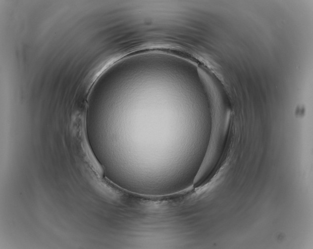 X0000091071369200708061253