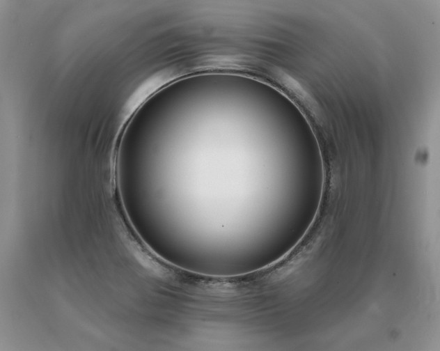 X0000091071370200708061253
