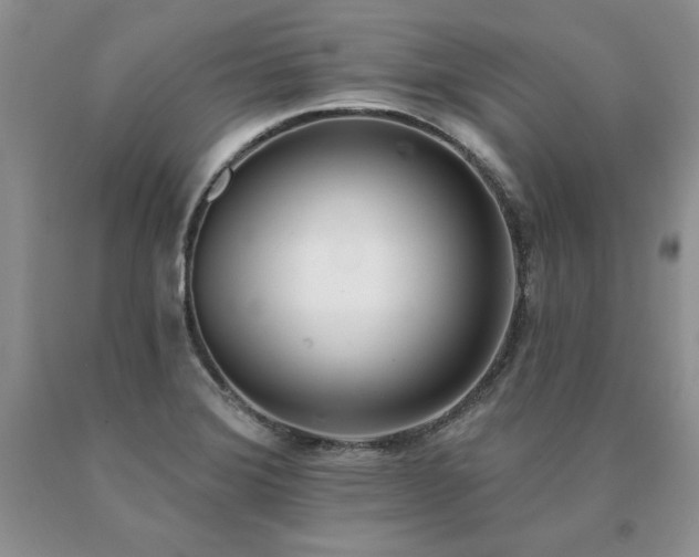 X0000091071372200708061253