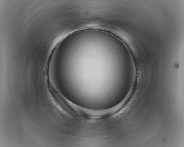X0000091071373200708061253