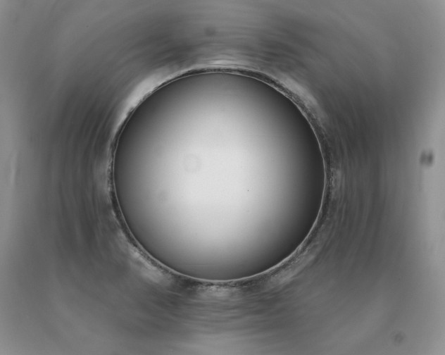 X0000091071374200708061253