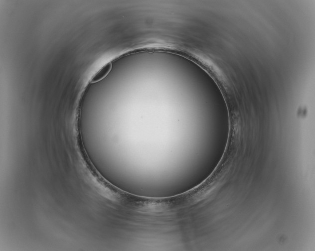 X0000091071375200708061253