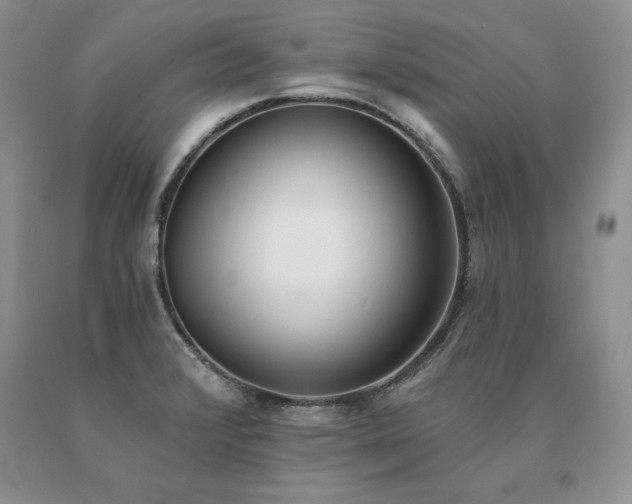 X0000091071376200708061253