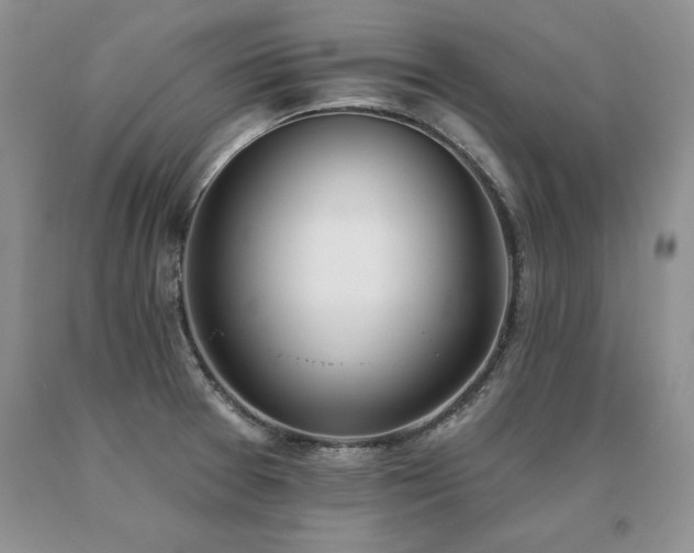 X0000091071377200708061253
