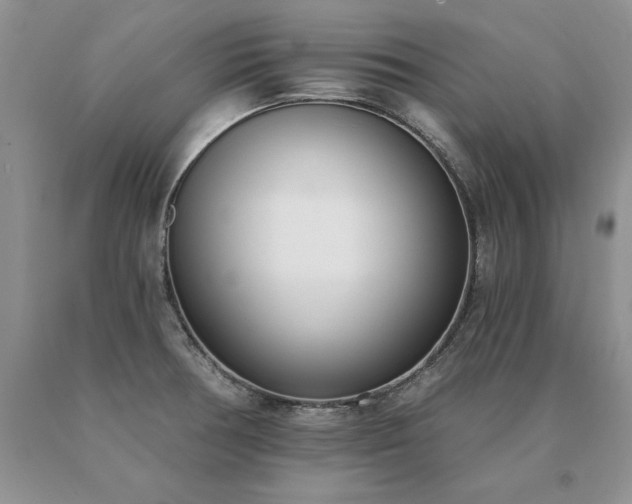 X0000091071378200708061253