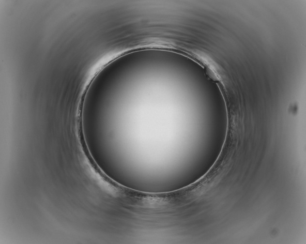 X0000091071379200708061253