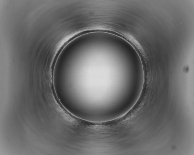 X0000091071380200708061253