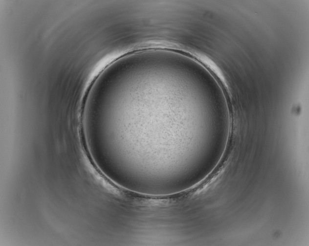 X0000091071381200708061253