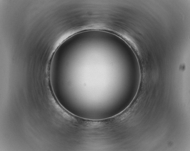 X0000091071382200708061253