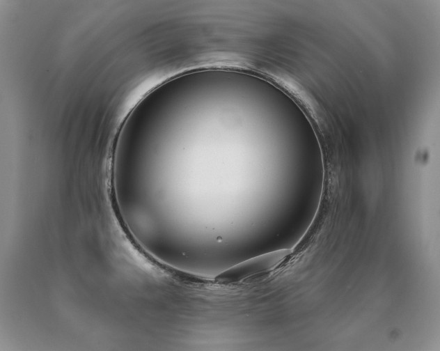 X0000091071383200708061253