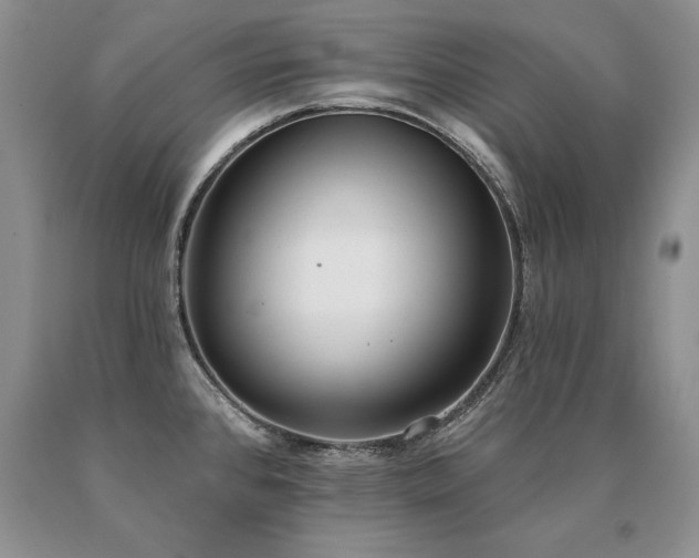 X0000091071384200708061253