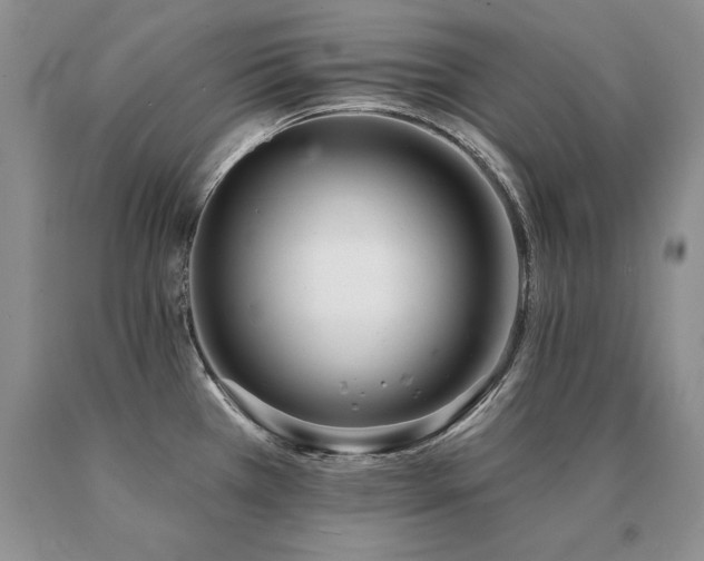 X0000091071385200708061253