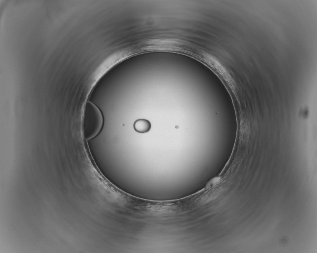 X0000091071386200708061253