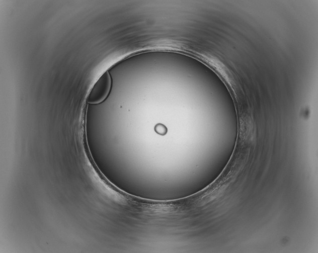 X0000091071387200708061253