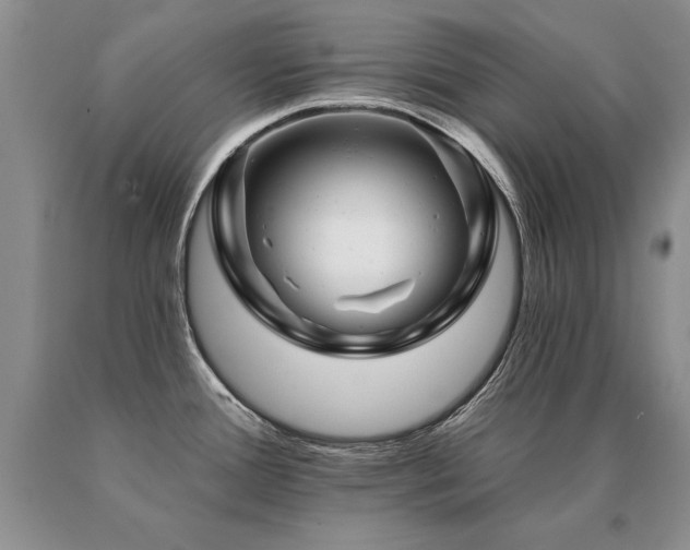 X0000091071388200708061253