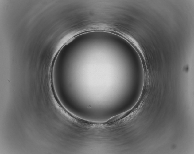 X0000091071389200708061253