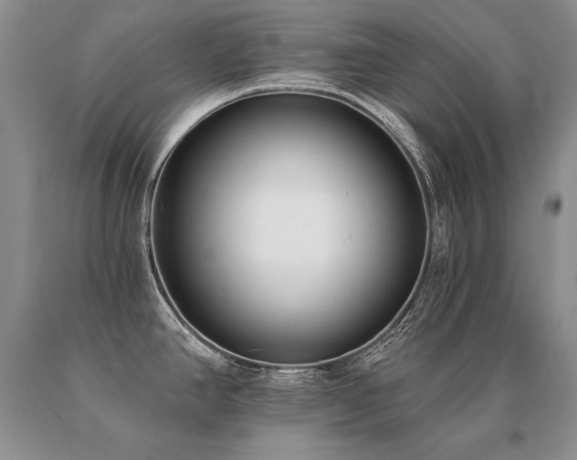 X0000091071390200708061253