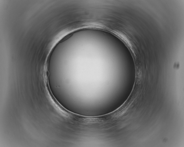 X0000091071391200708061253