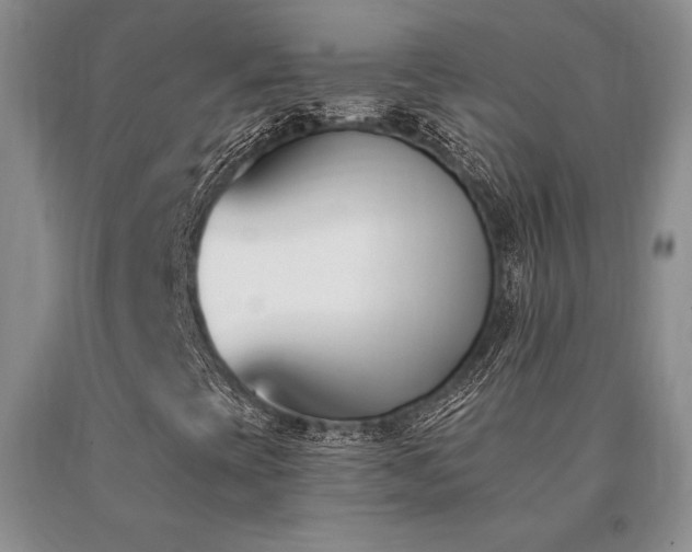 X0000091071393200708061252