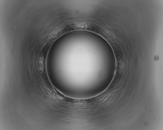 X0000091071394200708061252