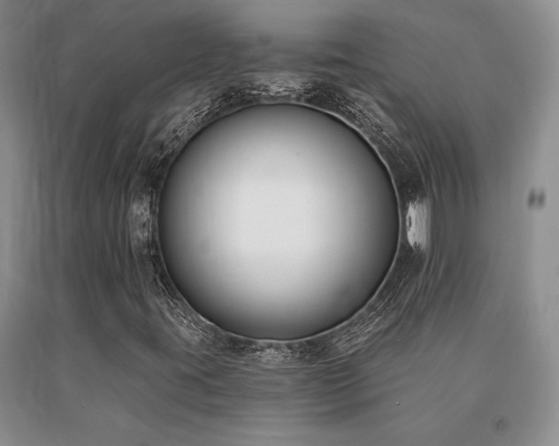 X0000091071395200708061252