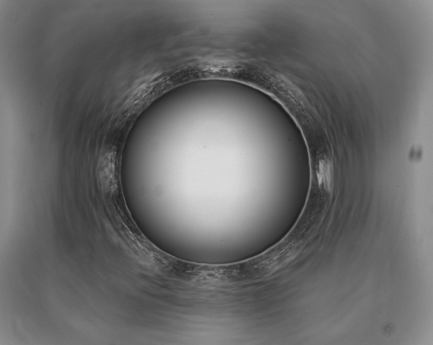X0000091071396200708061252