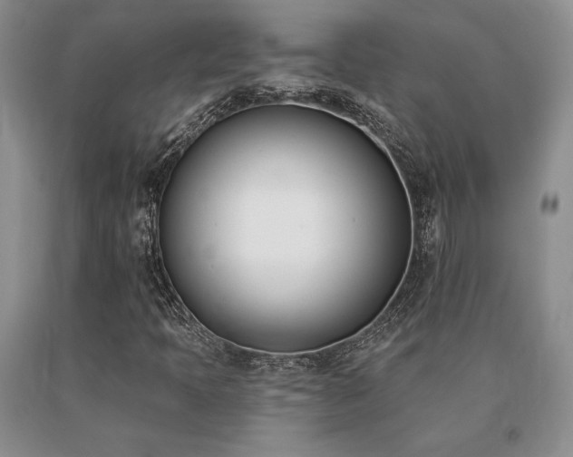 X0000091071397200708061252